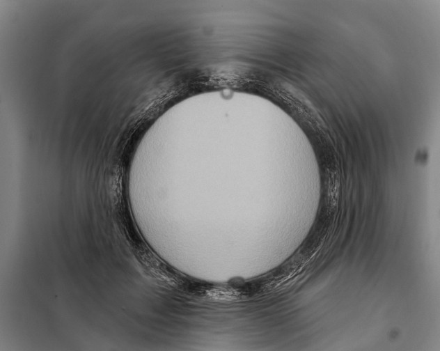 X0000097990603200804211106