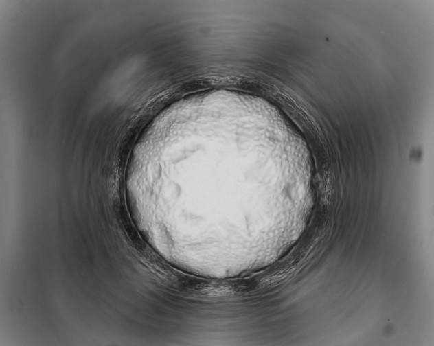 X0000097990604200804211106