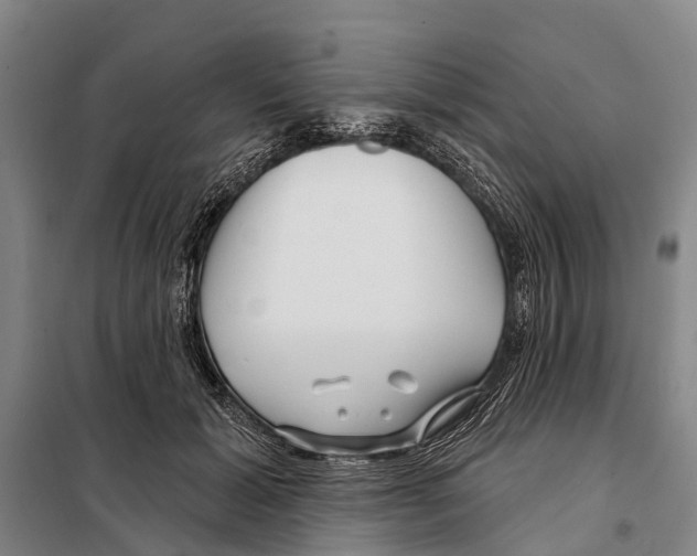 X0000097990605200804211106