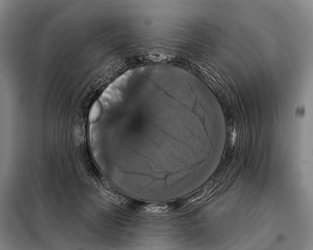 X0000097990606200804211106