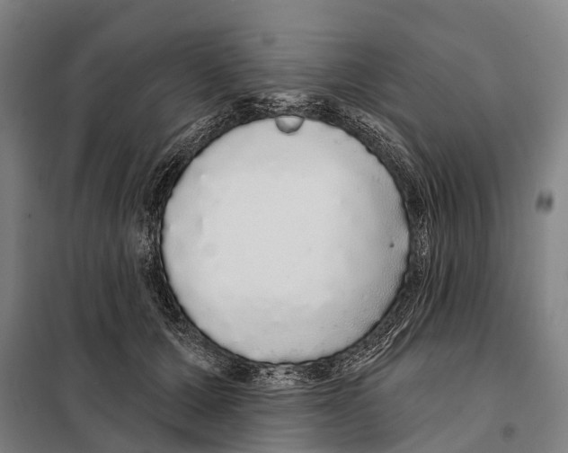 X0000097990607200804211106