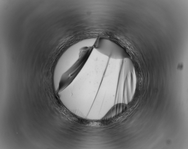 X0000097990609200804211106