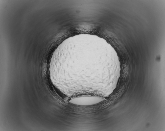 X0000097990612200804211106