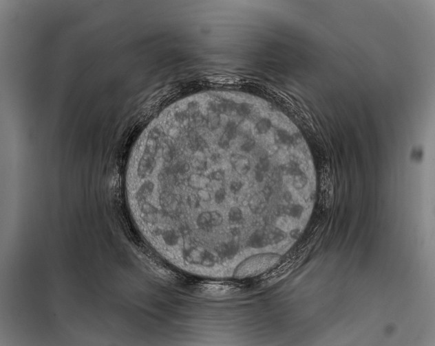 X0000097990614200804211106