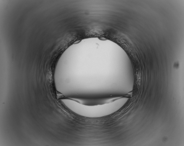 X0000097990617200804211106