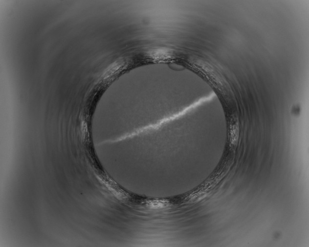 X0000097990618200804211106