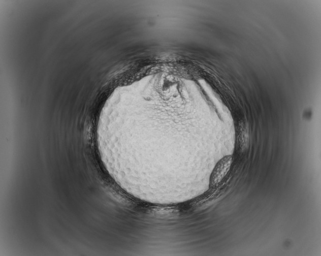 X0000097990619200804211106