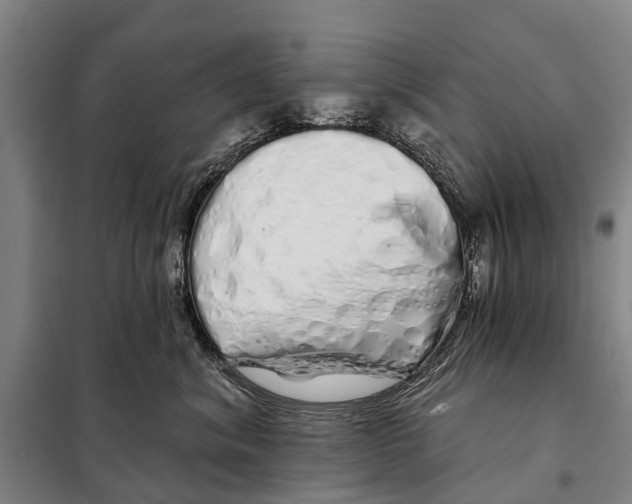 X0000097990620200804211106