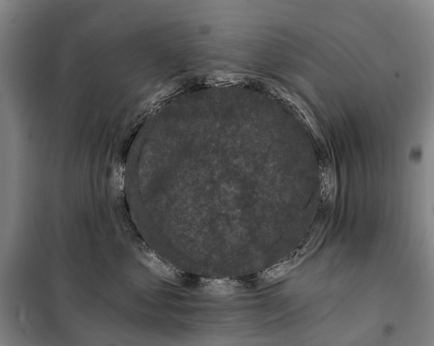 X0000097990621200804211106