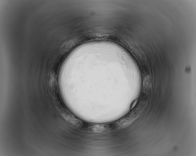 X0000097990623200804211106