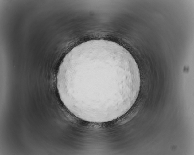 X0000097990624200804211106