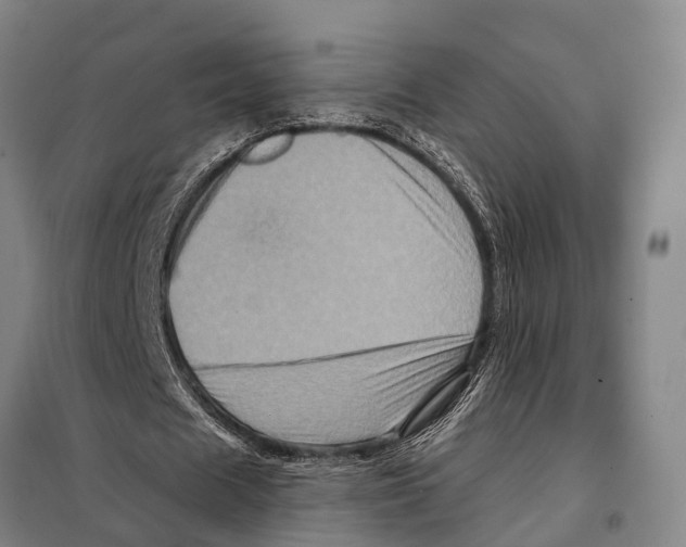 X0000097990625200804211105