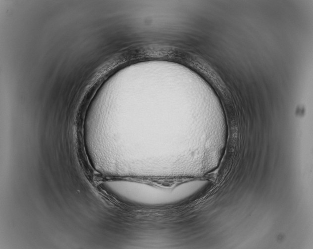 X0000097990626200804211105