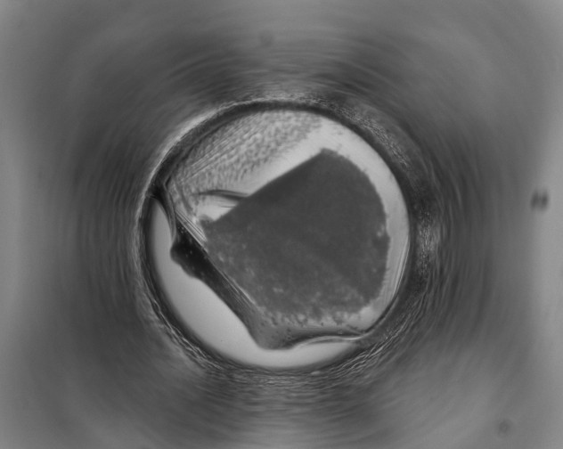 X0000097990628200804211105