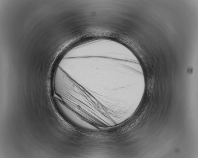 X0000097990629200804211105