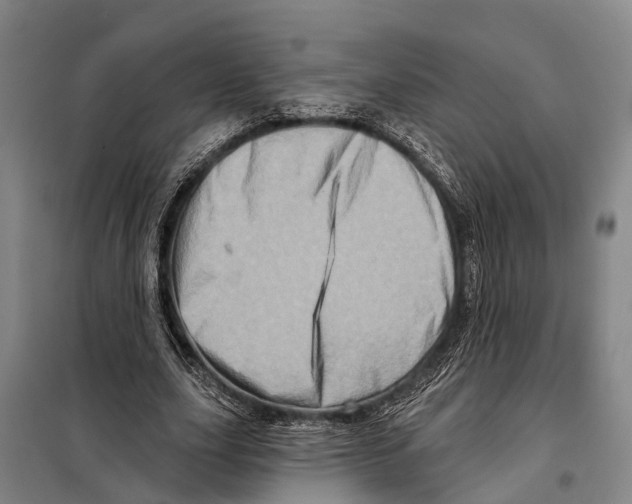 X0000097990631200804211105