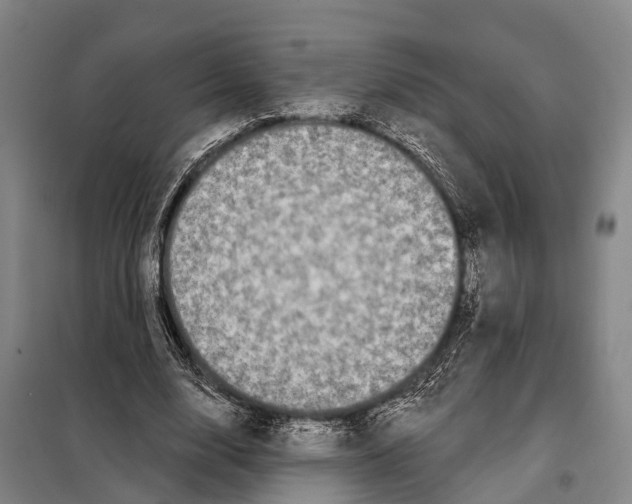 X0000097990632200804211105