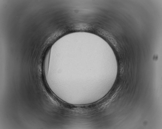 X0000097990633200804211105