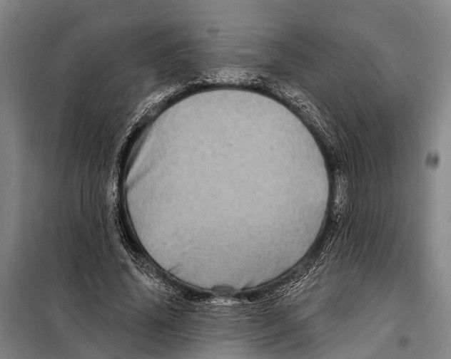 X0000097990636200804211105