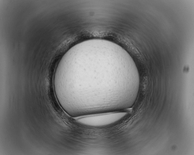 X0000097990639200804211105