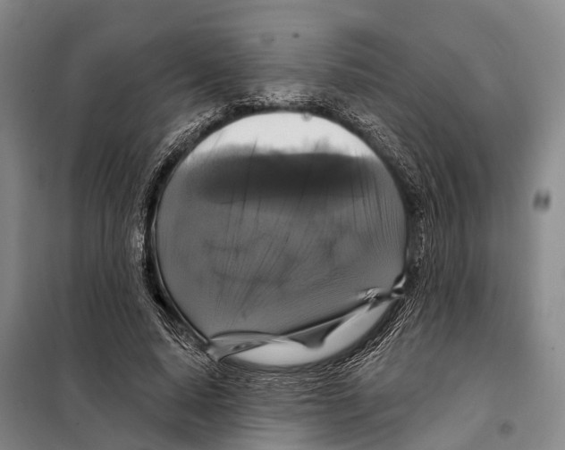 X0000097990640200804211105