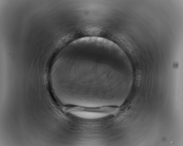 X0000097990641200804211105