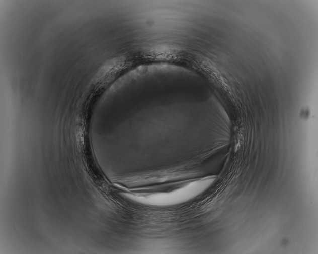 X0000097990643200804211105