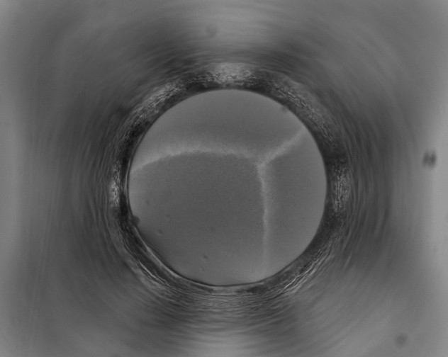 X0000097990644200804211105