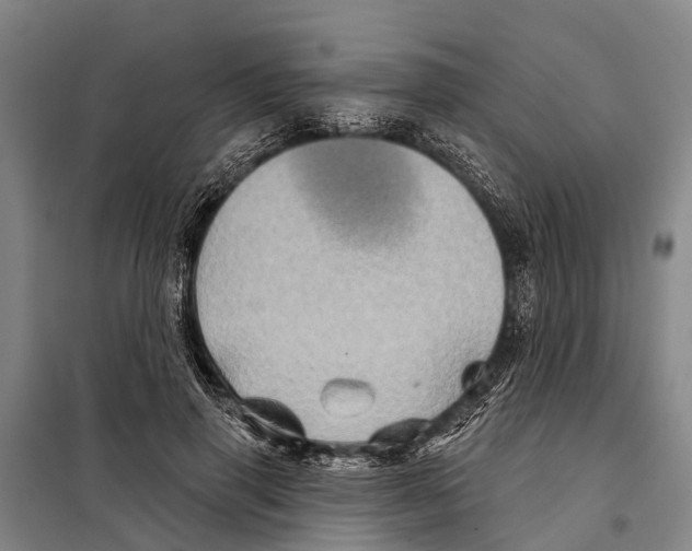 X0000097990645200804211105