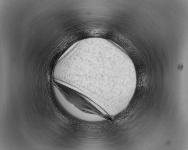 X0000097990646200804211105