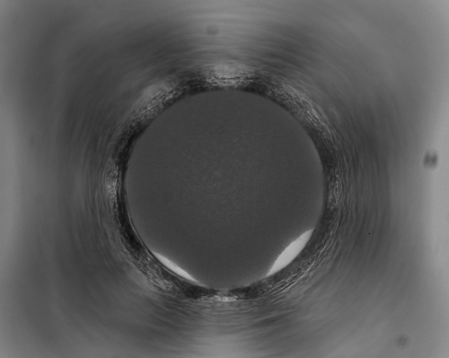 X0000097990647200804211105