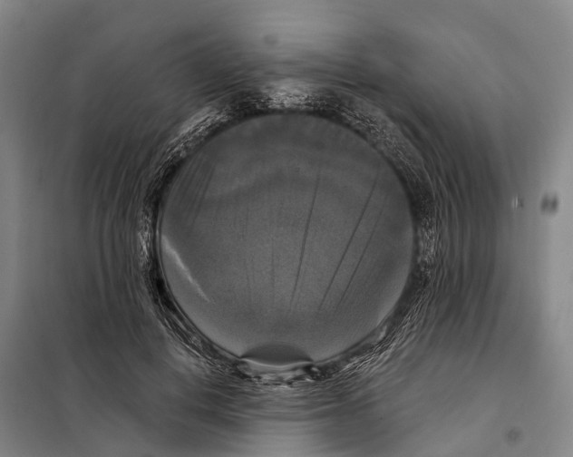 X0000097990648200804211105