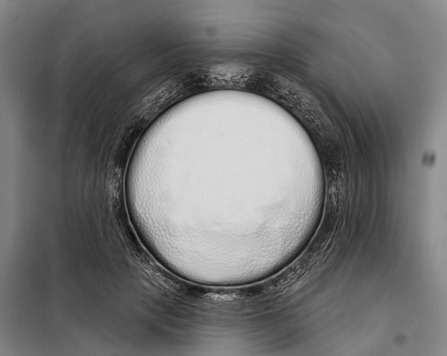 X0000097990649200804211105