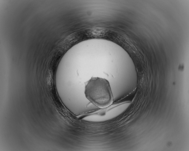 X0000097990651200804211105