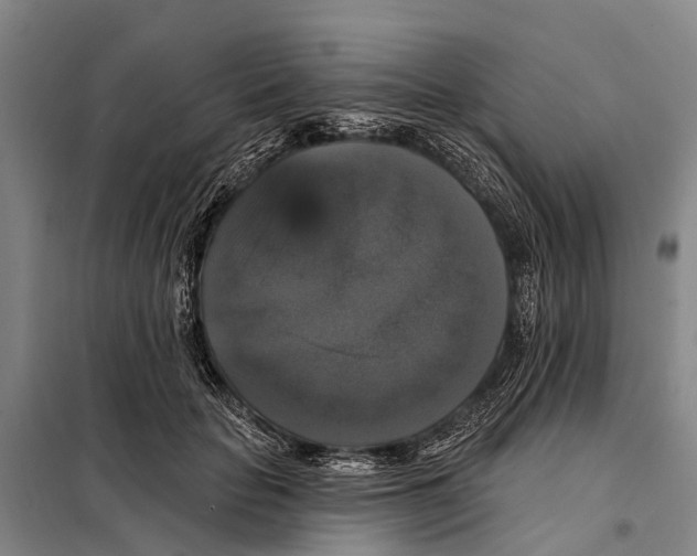 X0000097990653200804211105