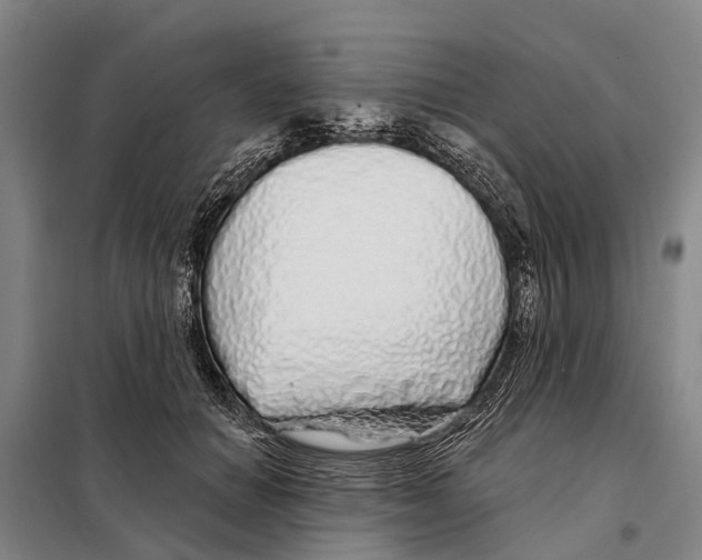 X0000097990654200804211105