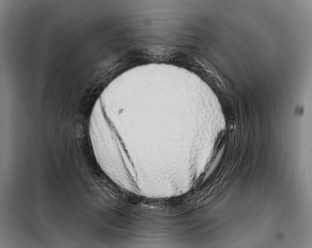 X0000097990655200804211105