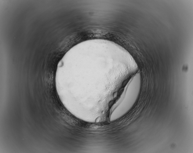 X0000097990657200804211105