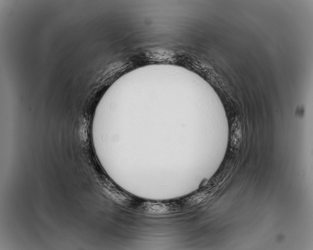 X0000097990658200804211105