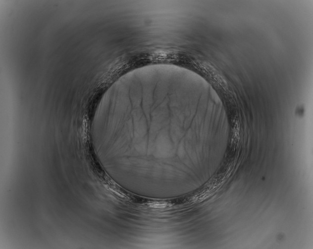 X0000097990659200804211105