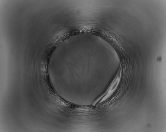 X0000097990661200804211105