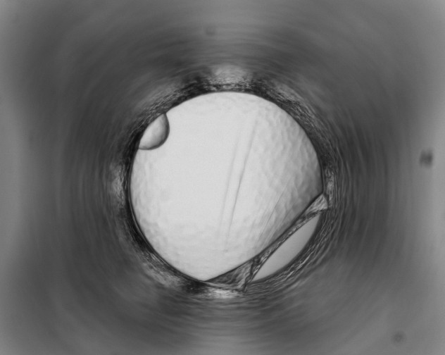 X0000097990662200804211105