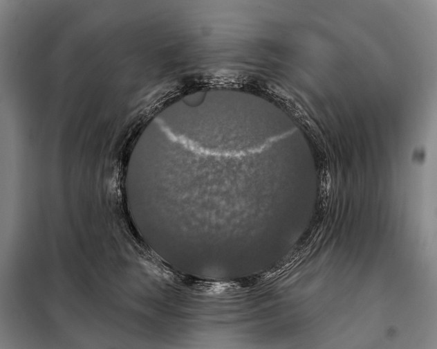 X0000097990663200804211105