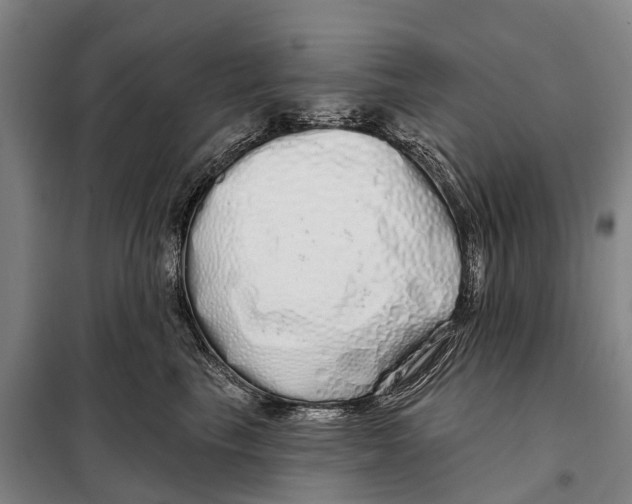 X0000097990665200804211106