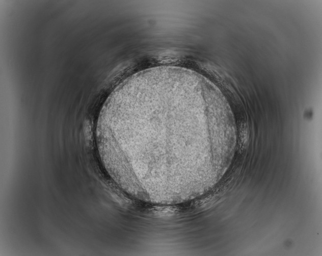 X0000097990667200804211106