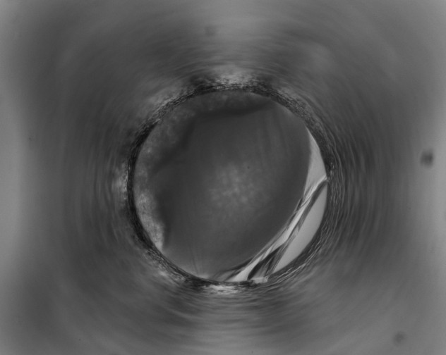 X0000097990668200804211106