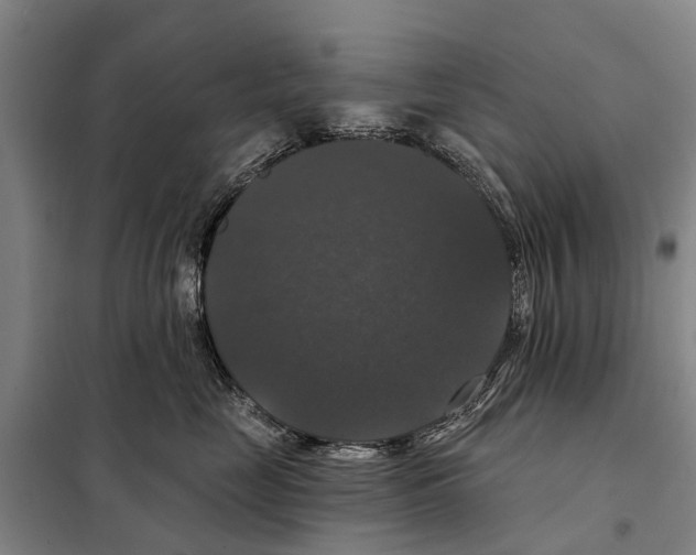 X0000097990669200804211106