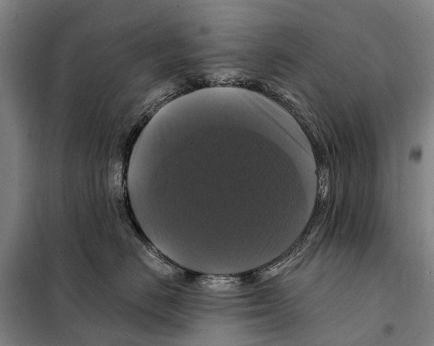 X0000097990670200804211106