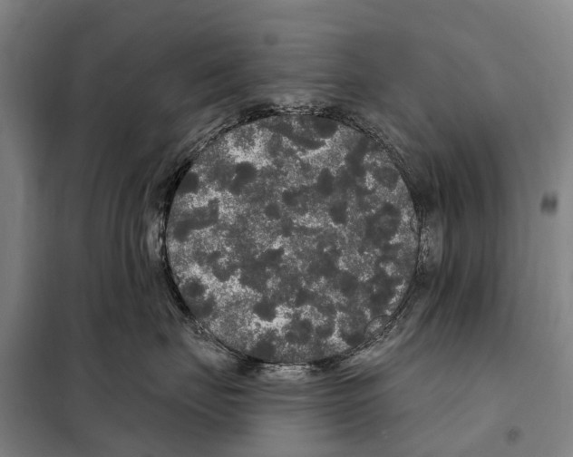 X0000097990671200804211106