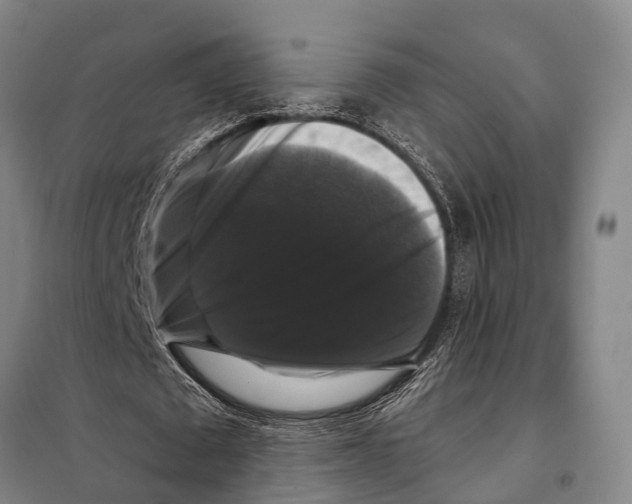 X0000097990673200804211105